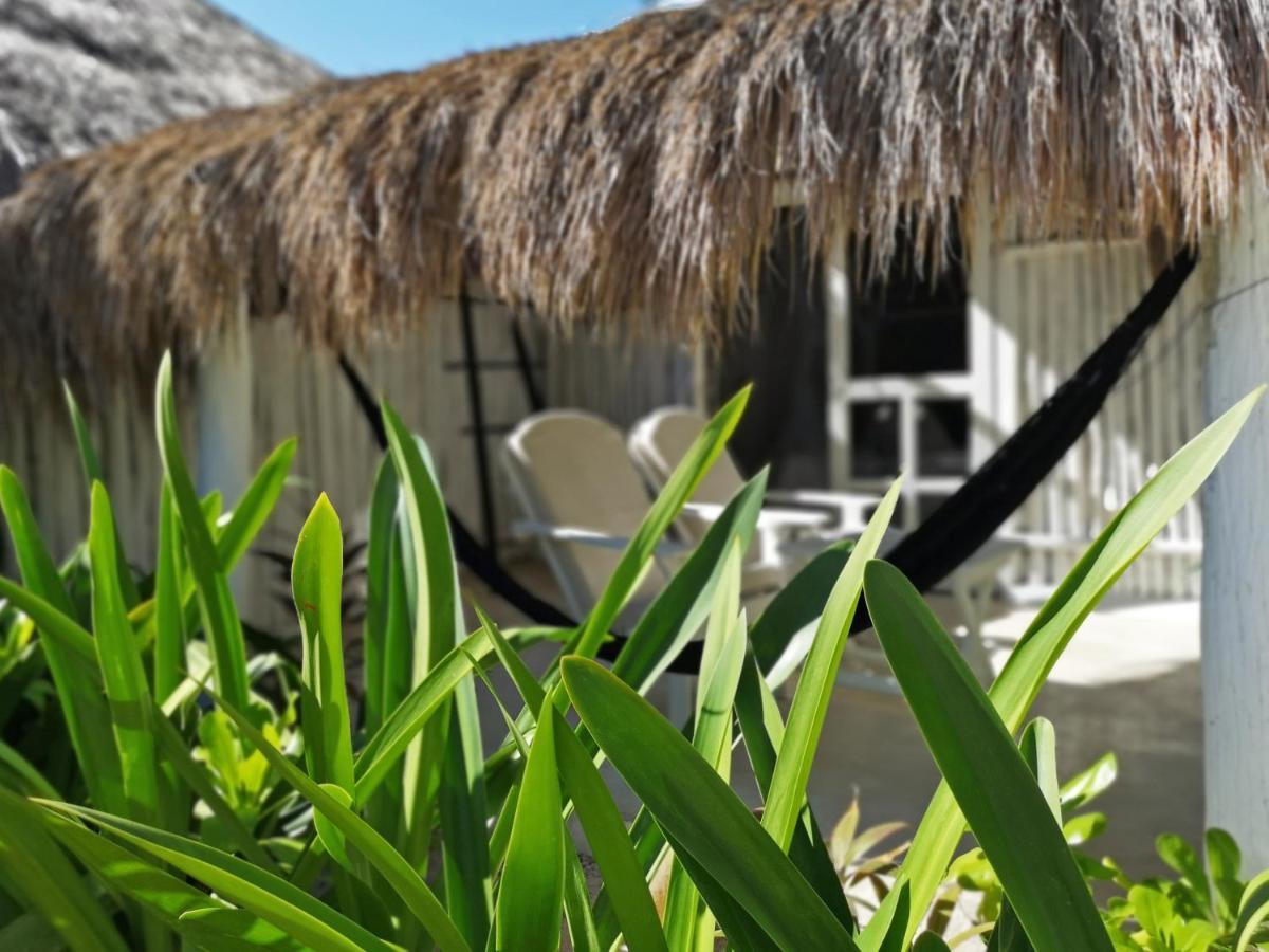 Coco Tulum Hotel Exterior foto